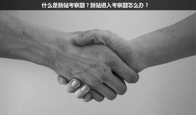 什么是新站考察期？新站進(jìn)入考察期怎么辦？