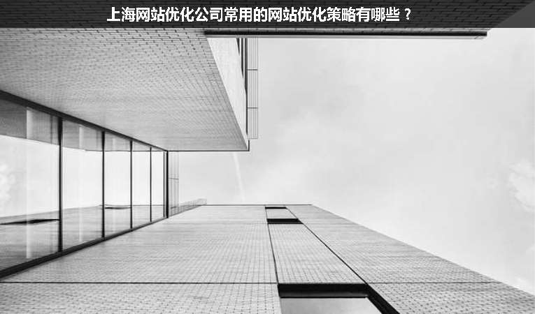 上海網(wǎng)站優(yōu)化公司常用的網(wǎng)站優(yōu)化策略有哪些？