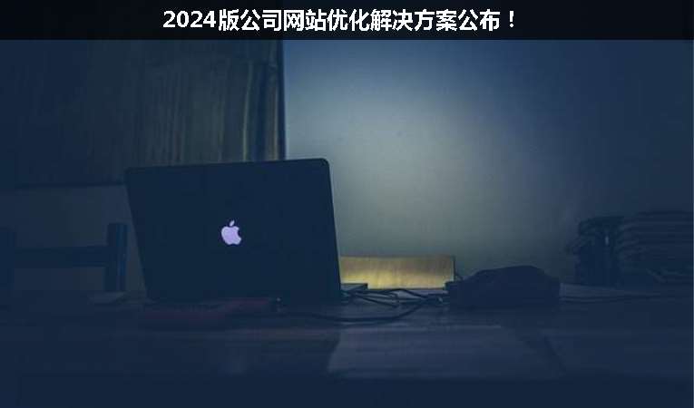 2024版公司網(wǎng)站優(yōu)化解決方案公布！