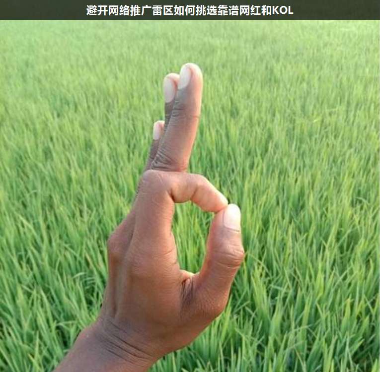 避開網(wǎng)絡(luò)推廣雷區(qū)如何挑選靠譜網(wǎng)紅和KOL