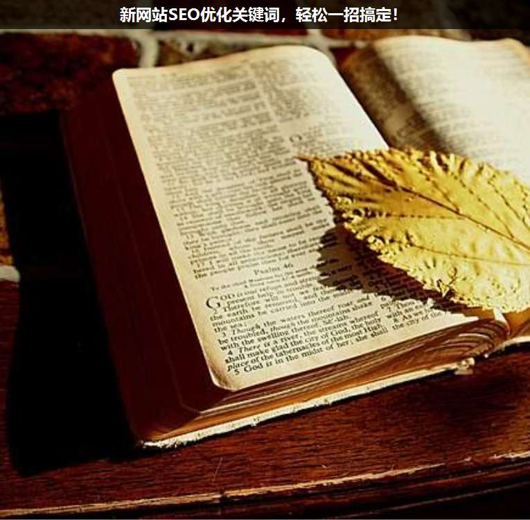 新網(wǎng)站SEO優(yōu)化關(guān)鍵詞,輕松一招搞定!