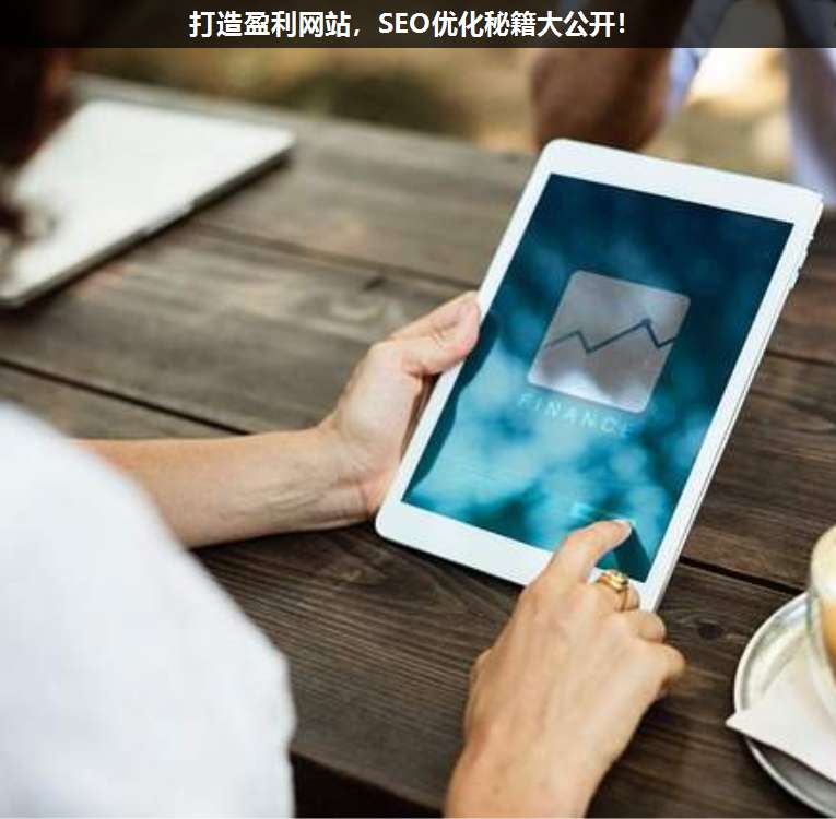 打造盈利網(wǎng)站,SEO優(yōu)化秘籍大公開(kāi)!