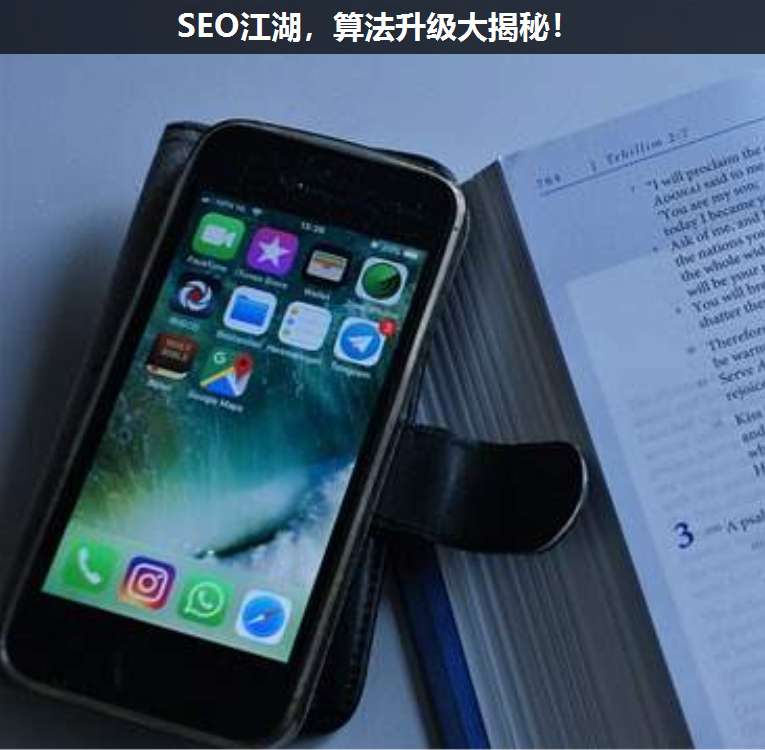 SEO江湖,算法升級(jí)大揭秘!