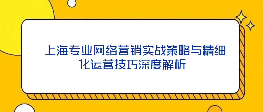  上海專業(yè)網(wǎng)絡營銷實戰(zhàn)策略與精細化運營技巧深度解析