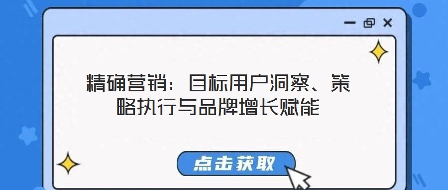 精確營銷：目標(biāo)用戶洞察、策略執(zhí)行與品牌增長賦能