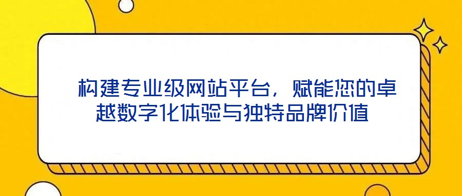  構(gòu)建專業(yè)級(jí)網(wǎng)站平臺(tái)，賦能您的卓越數(shù)字化體驗(yàn)與獨(dú)特品牌價(jià)值
