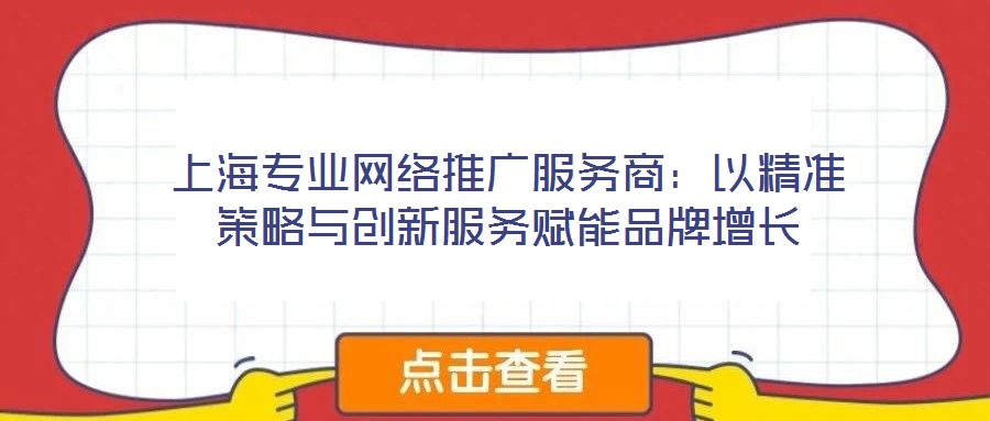 上海專業(yè)網(wǎng)絡(luò)推廣服務(wù)商：以精準策略與創(chuàng)新服務(wù)賦能品牌增長