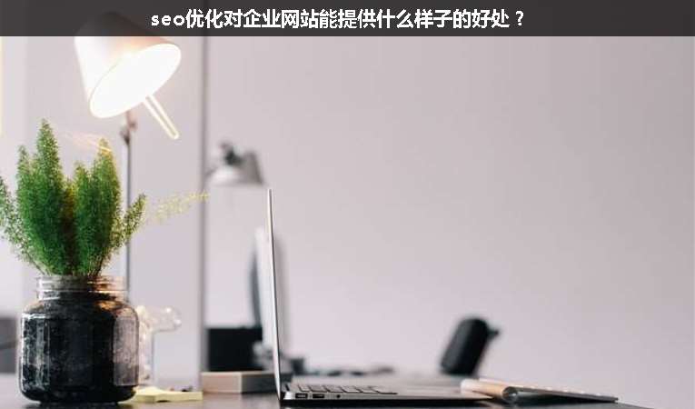 seo優(yōu)化對企業(yè)網(wǎng)站能提供什么樣子的好處？