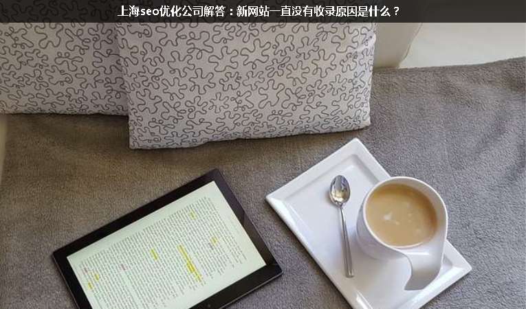 上海seo優(yōu)化公司解答：新網(wǎng)站一直沒有收錄原因是什么？